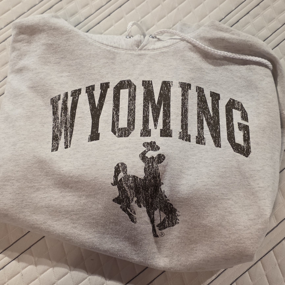 Gray Wyoming Hoodie